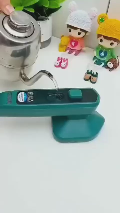 Steam Iron